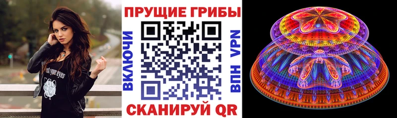 Псилоцибиновые грибы Cubensis  где продают   Мурманск 